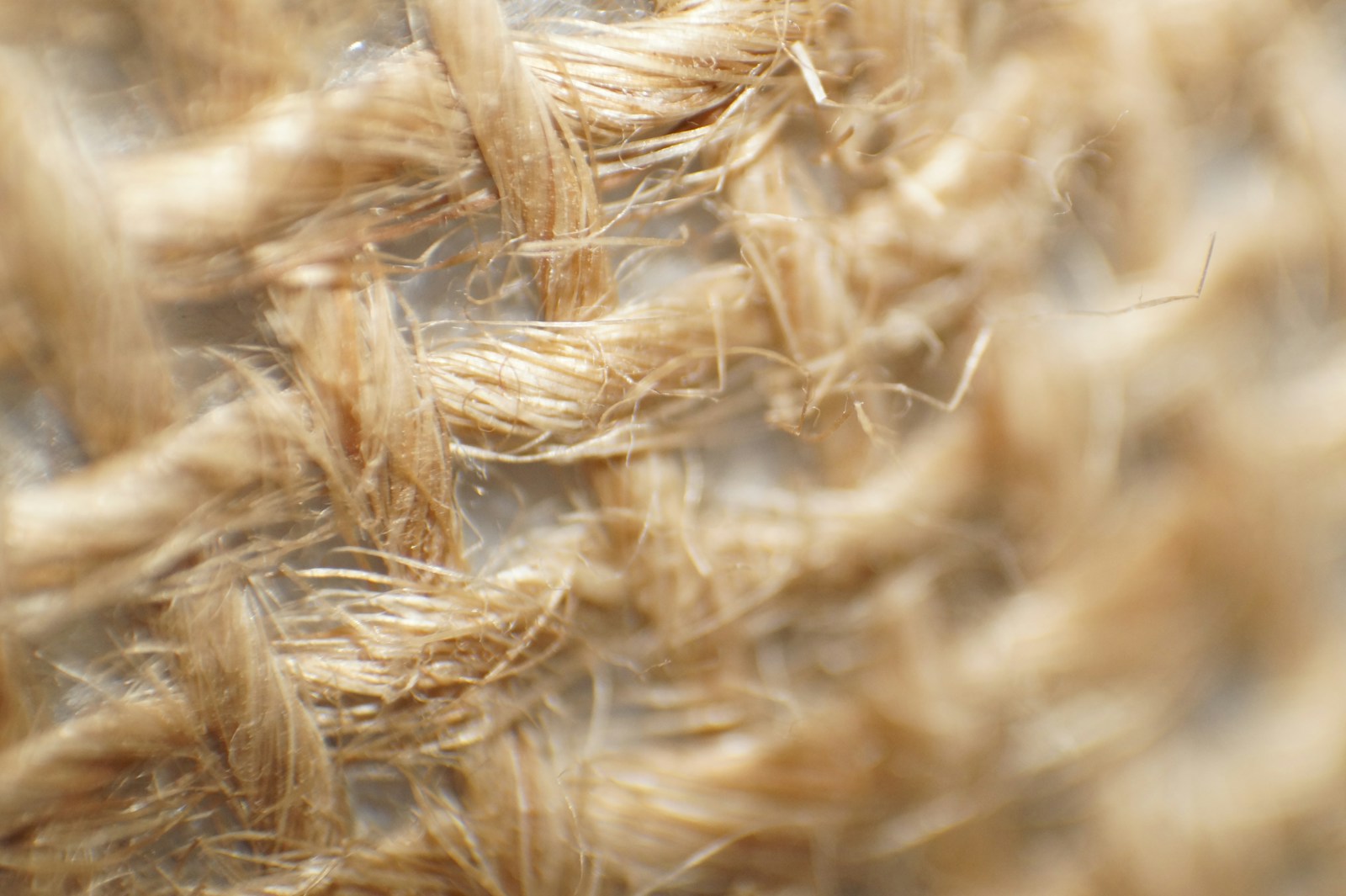 Pure & Sustainable: Cotton and Jute Creations